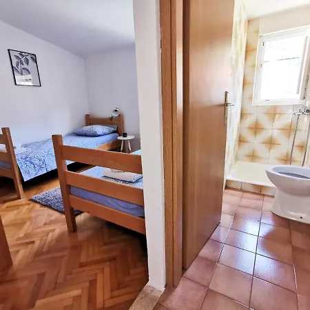 Denis Vela * 伯德古拉